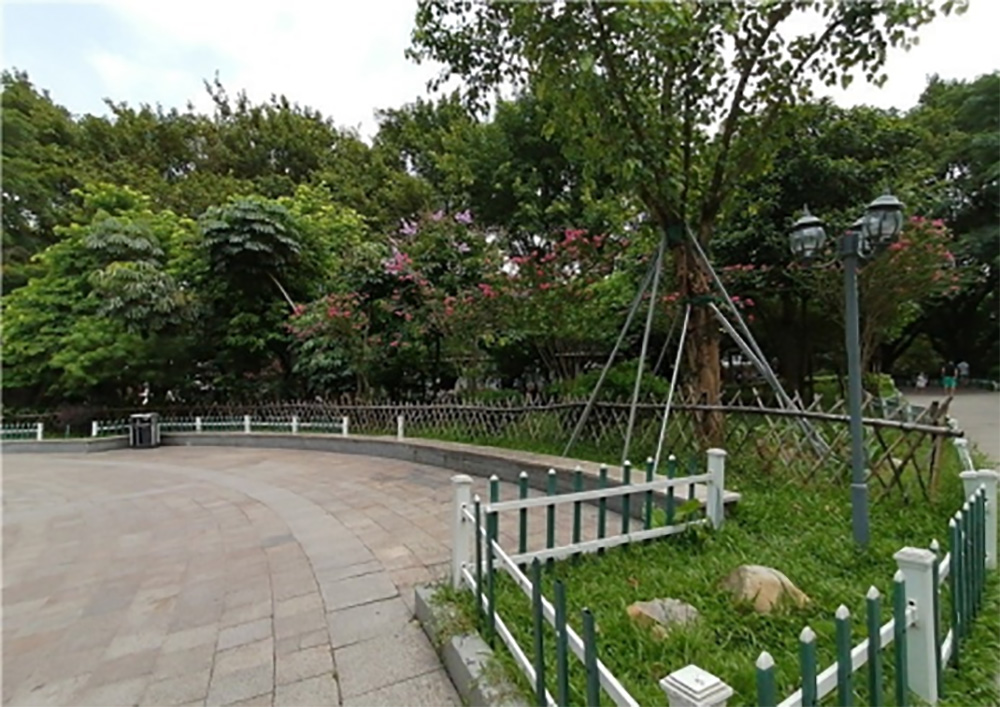 龙华公园景观提升工程